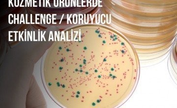 Challenge Test/Koruyucu Etkinlik Testi