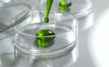 İnvitro Göz İrritasyon Testi