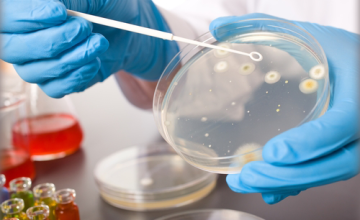 Bioburden ve Sterilite Testi Arasındaki Farklar