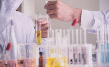 IFRA Standartları Nedir?