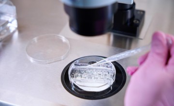 Stabilite Testi ile Raf Ömrü Nasıl Belirlenir?
