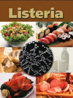 Gıdalarda Listeria Tehlikesi