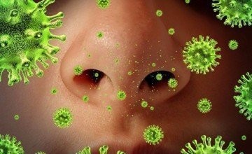 Legionella Analiz Laboratuvarı